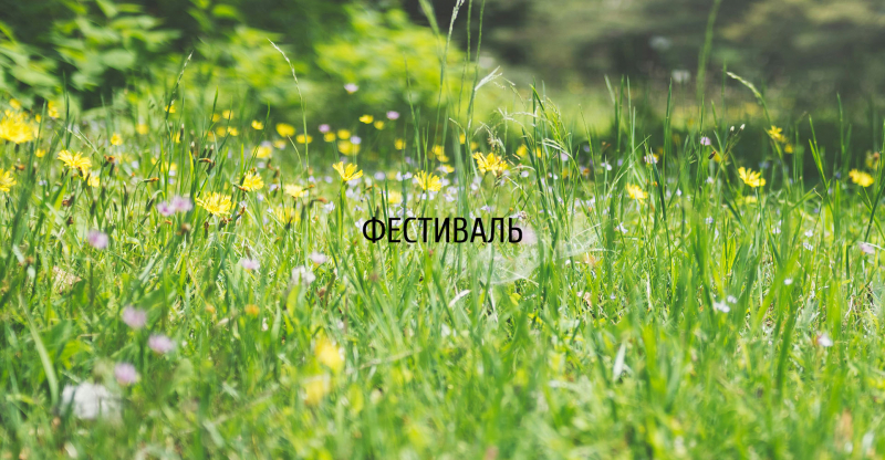 IV Фестиваль «Цветы в Усадьбе»