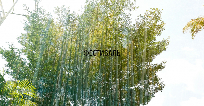IX Фестиваль исторических садов в Музее-заповеднике «Царицыно»
