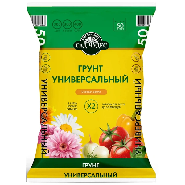 Как правильно посадить герань: практические советы