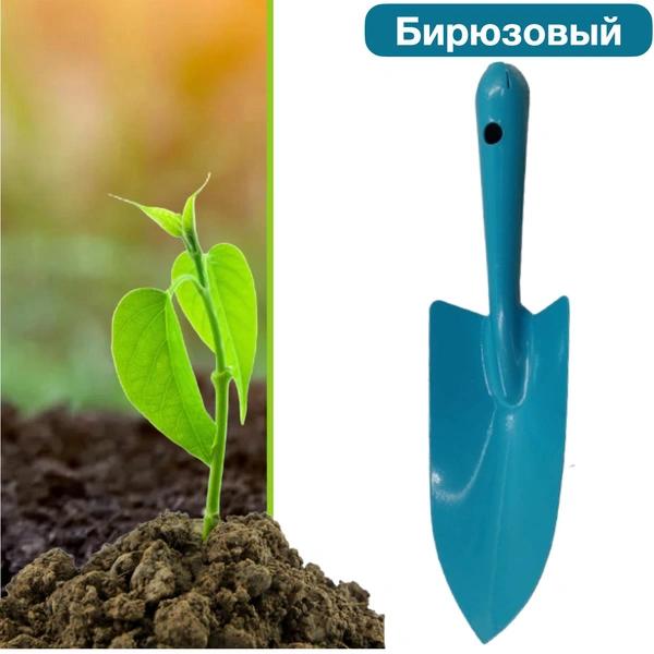 Когда сажать лук весной 2025 года в открытый грунт: не пропустите правильные даты