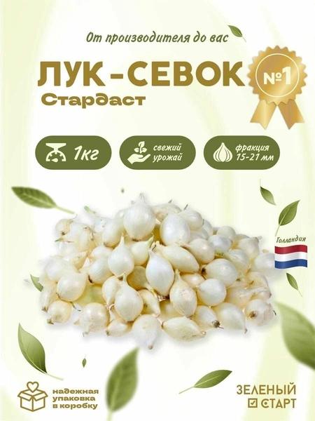 Когда сажать лук весной 2025 года в открытый грунт: не пропустите правильные даты