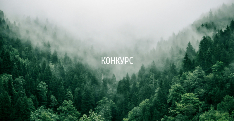 Международный конкурс дизайна PRIMAL CHAIR 2026 / ГЛАВНЫЙ СТУЛ 2026 (Словения)