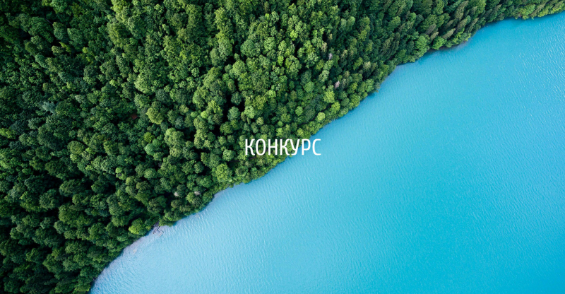 Международный конкурс "Small project - big impact / Маленький проект - большой эффект"